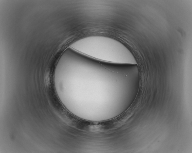 X0000111240216200907021005