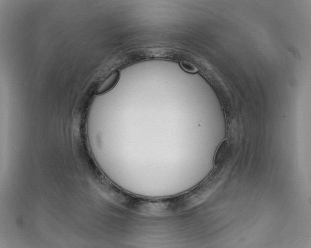 X0000111240217200907021005