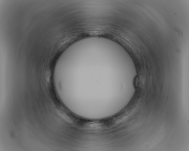 X0000111240219200907021005