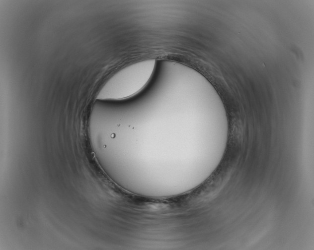 X0000111240220200907021005