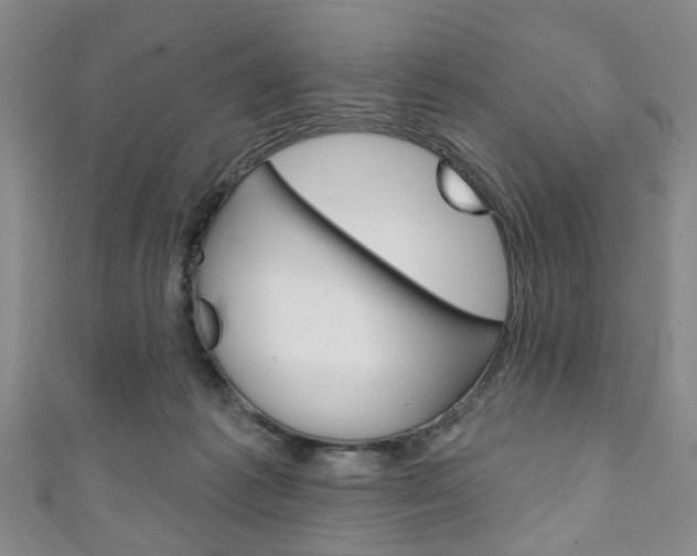 X0000111240221200907021005