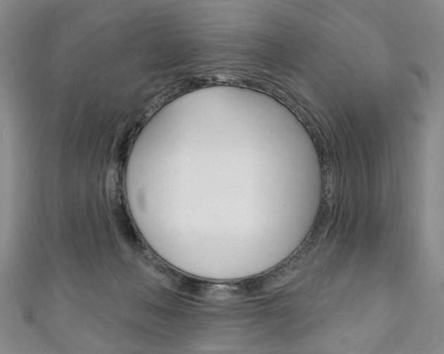X0000111240222200907021005