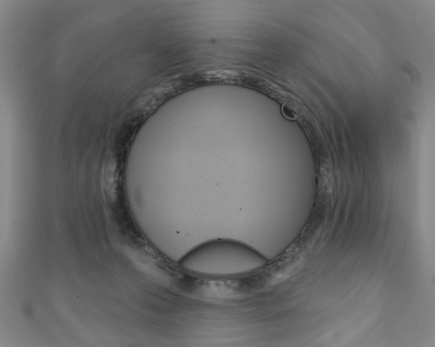 X0000111240223200907021005