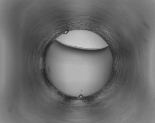 X0000111240224200907021005