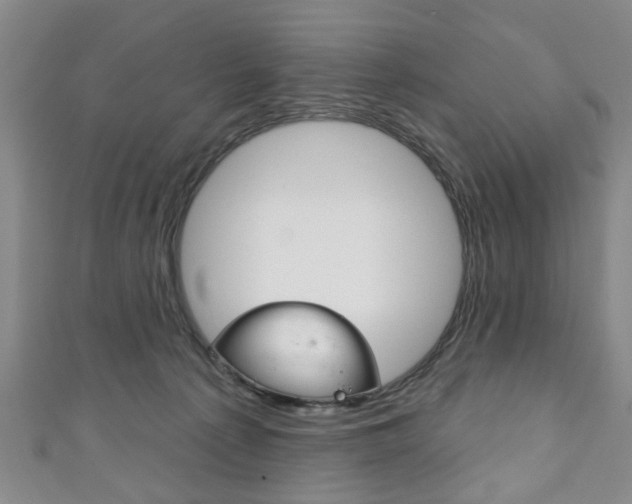 X0000111240225200907021005