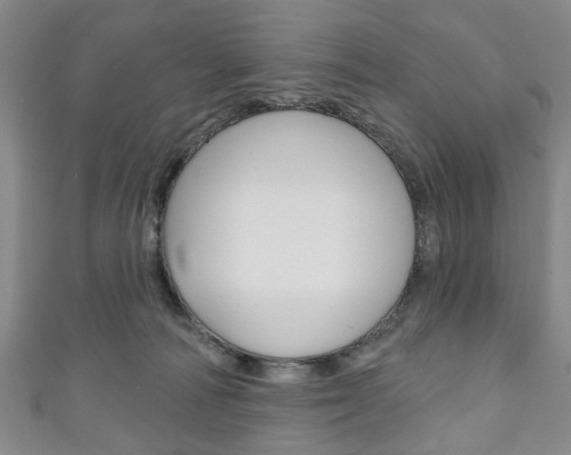 X0000111240226200907021005