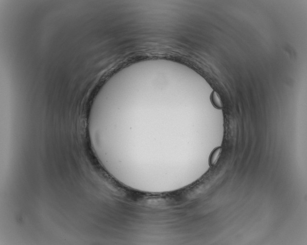 X0000111240228200907021005