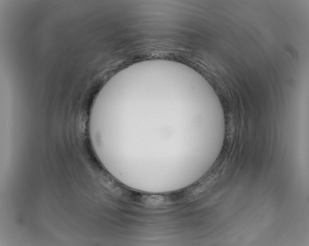 X0000111240230200907021005