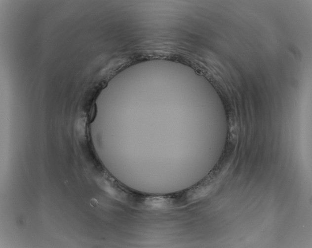 X0000111240231200907021005