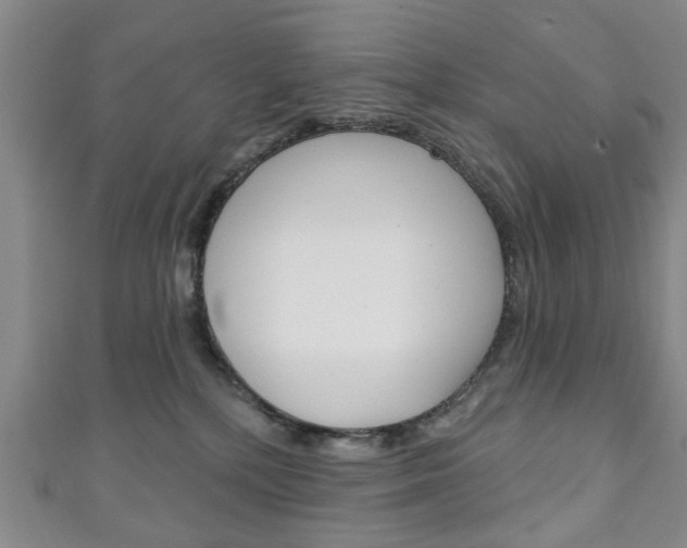 X0000111240232200907021005