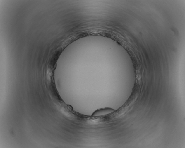 X0000111240235200907021005