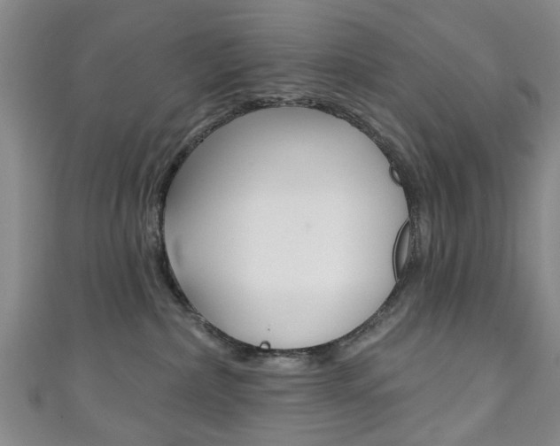 X0000111240236200907021005