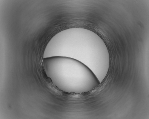 X0000111240237200907021005