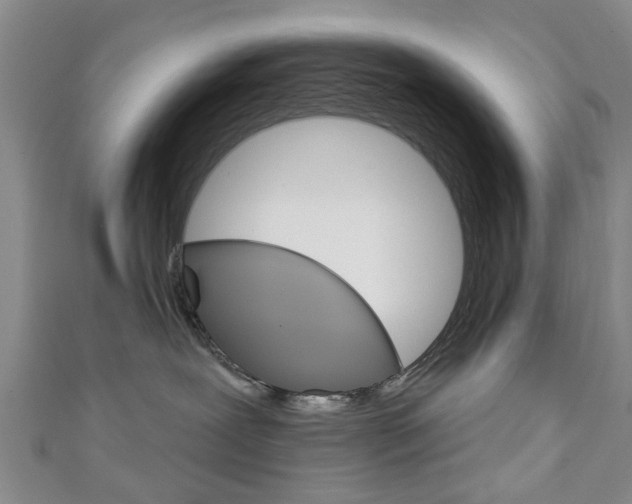 X0000111240239200907021005