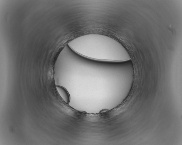 X0000111240240200907021005