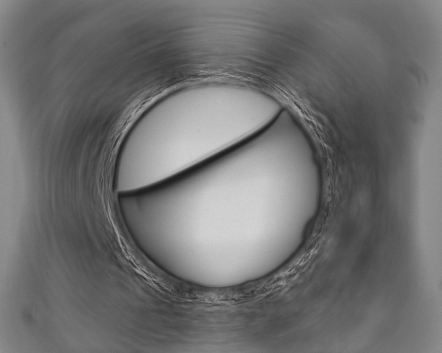 X0000111240241200907021004
