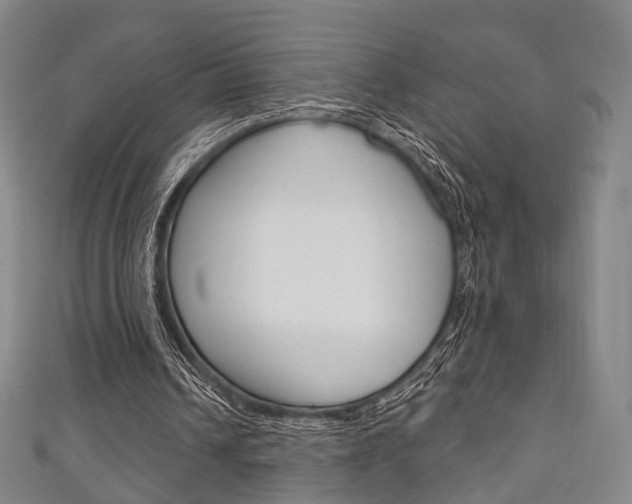 X0000111240242200907021004