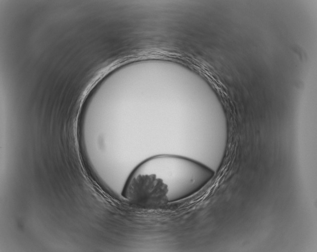 X0000111240244200907021004