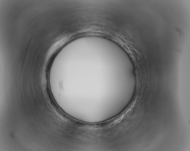 X0000111240245200907021004