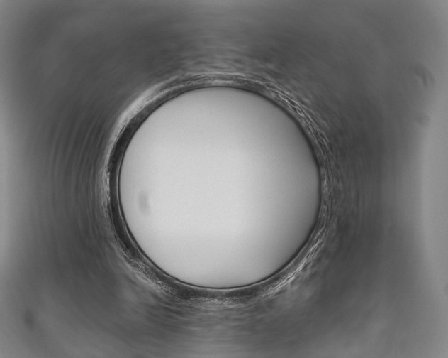 X0000111240246200907021005
