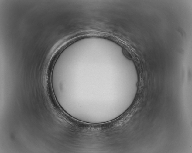 X0000111240247200907021005