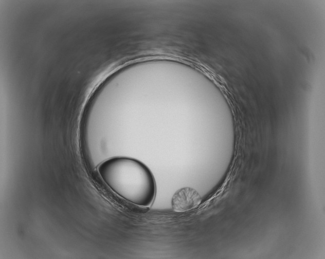 X0000111240248200907021005
