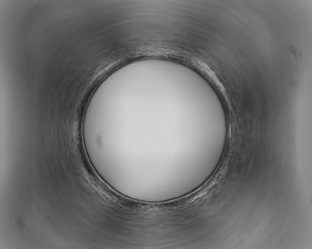 X0000111240249200907021005