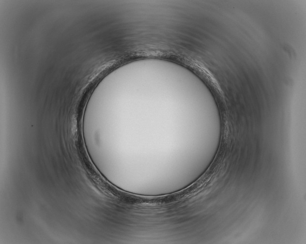 X0000111240251200907021005