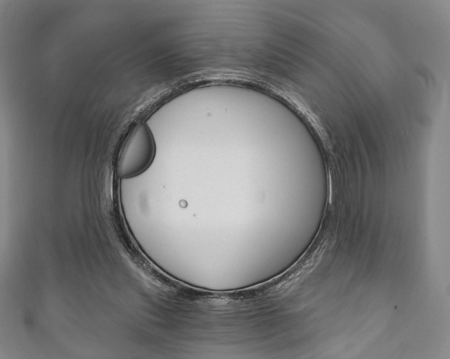 X0000111240253200907021005