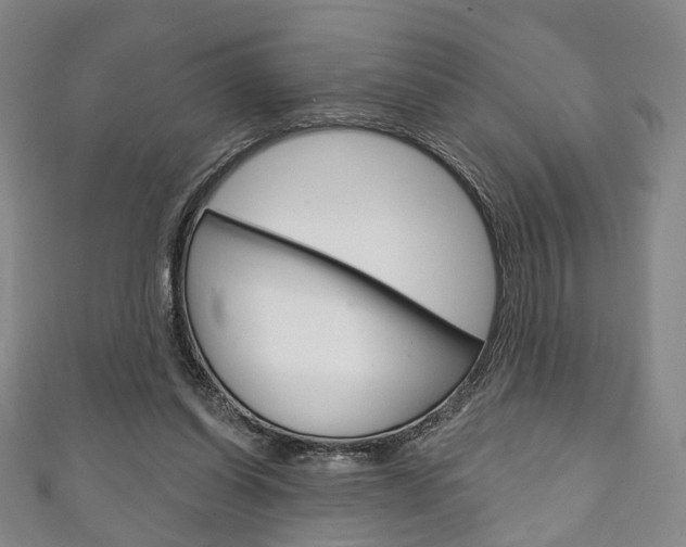X0000111240254200907021005