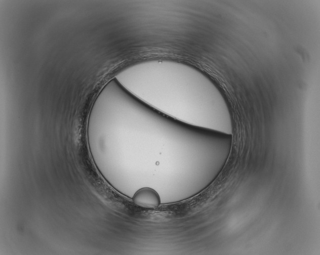 X0000111240255200907021005