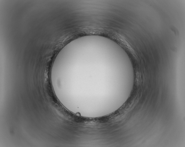 X0000111240259200907021005
