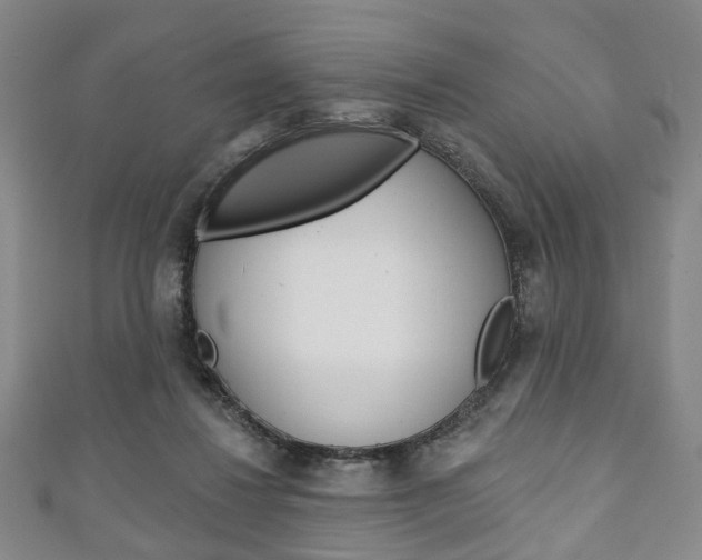 X0000111240260200907021005