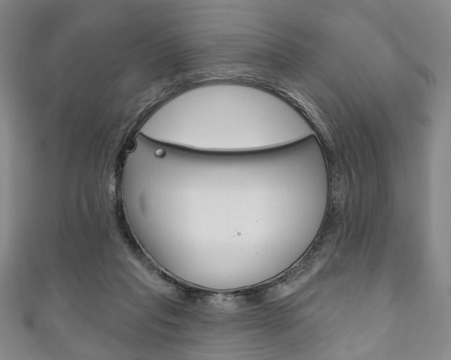 X0000111240261200907021005