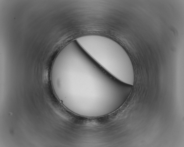 X0000111240262200907021005