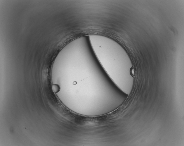 X0000111240263200907021005