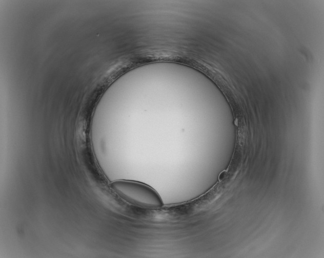 X0000111240264200907021005