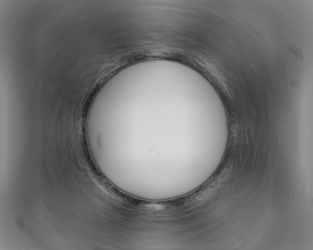 X0000111240265200907021005