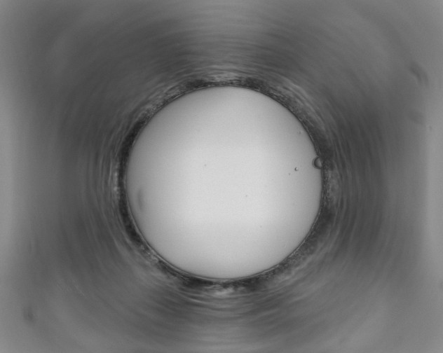 X0000111240267200907021005