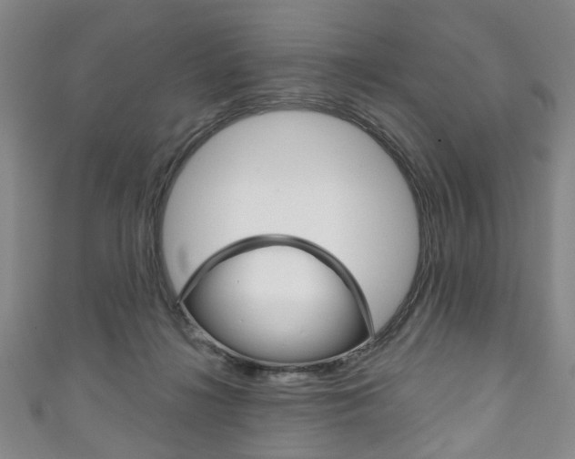 X0000111240268200907021005