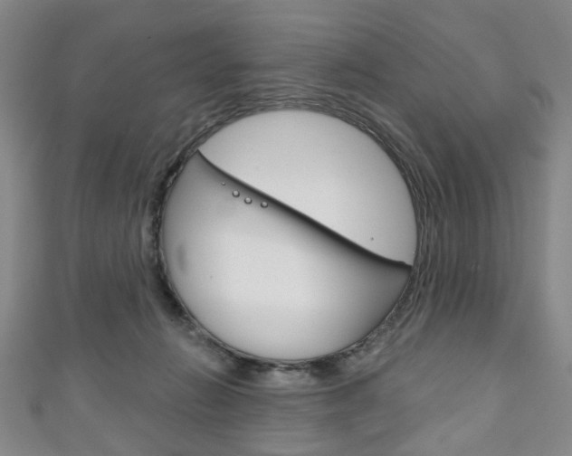 X0000111240270200907021005