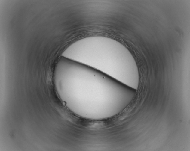 X0000111240274200907021005