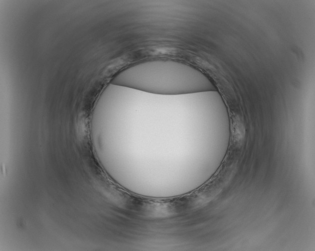 X0000111240276200907021005