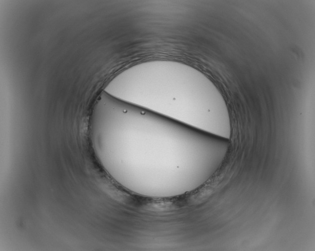 X0000111240278200907021005