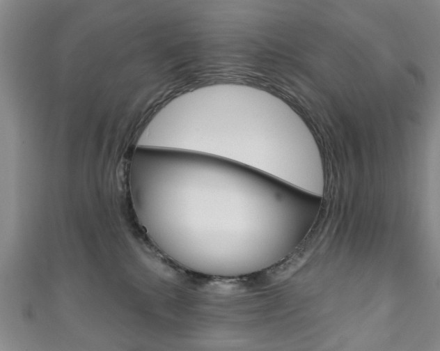 X0000111240280200907021005