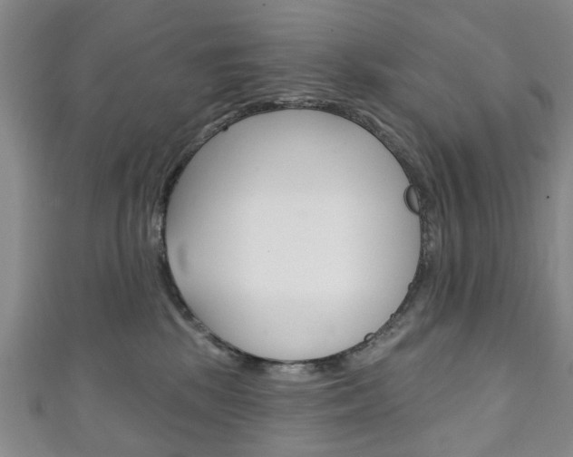 X0000111240281200907021005