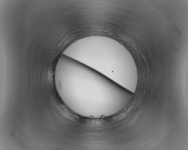 X0000111240282200907021005