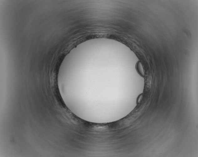 X0000111240283200907021005
