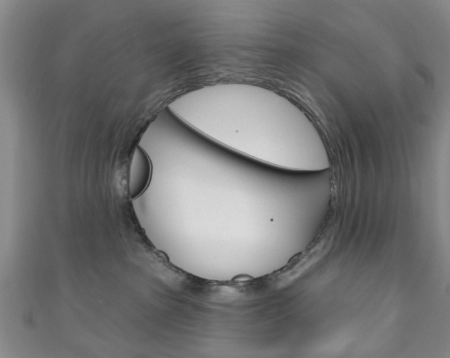 X0000111240285200907021005