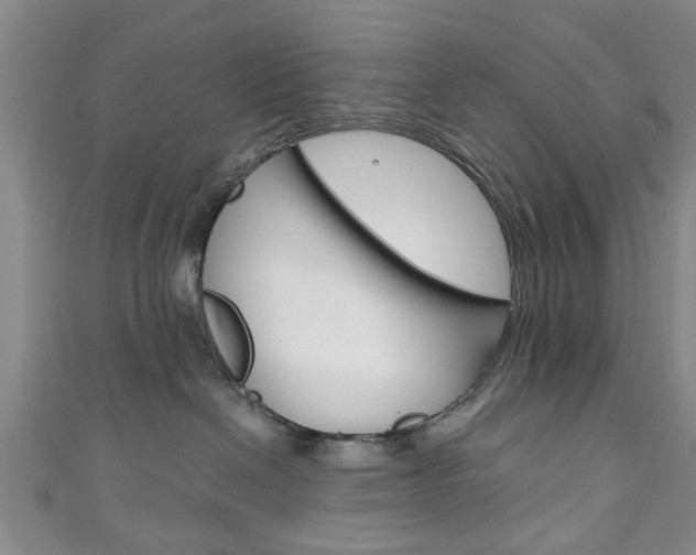 X0000111240286200907021005